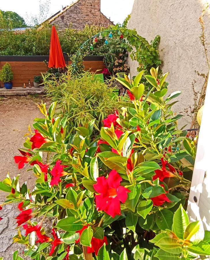 Gîte Le 16, Sous Les Trémières Fleurey-sur-Ouche Esterno foto